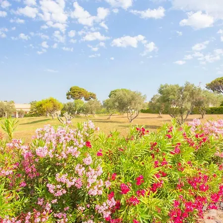 Отель De La Pyramide